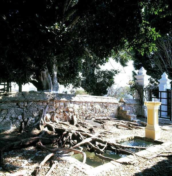 Parador-Museo Santa Maria La Trinitaria Eksteriør bilde